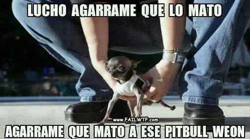 taringa