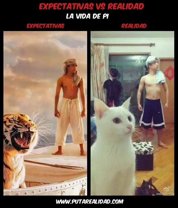 humor