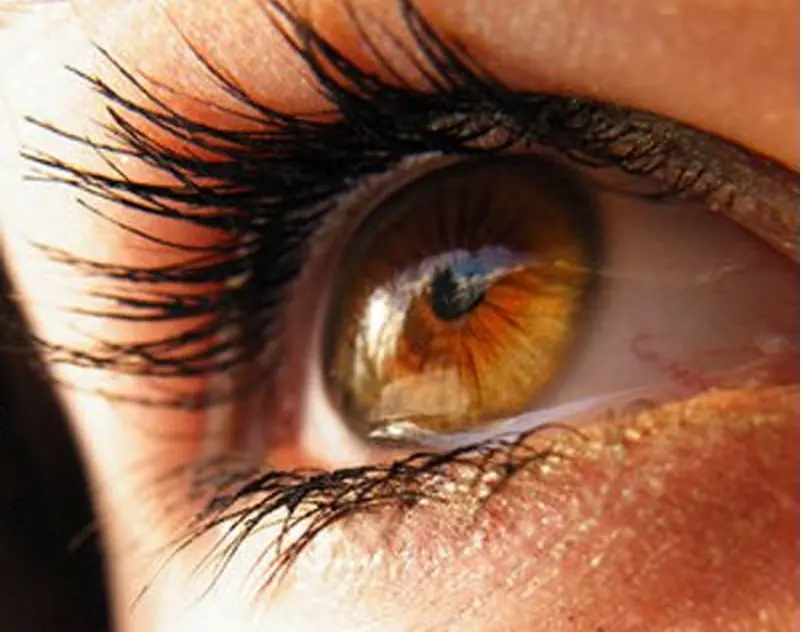 ¿De qué colores puede tener los ojos un ser humano?