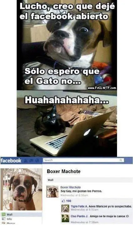 imagenes