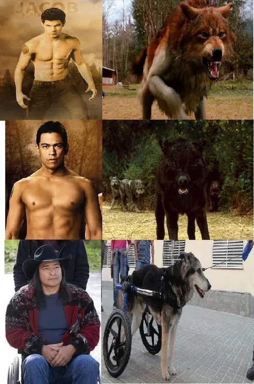 yao ming