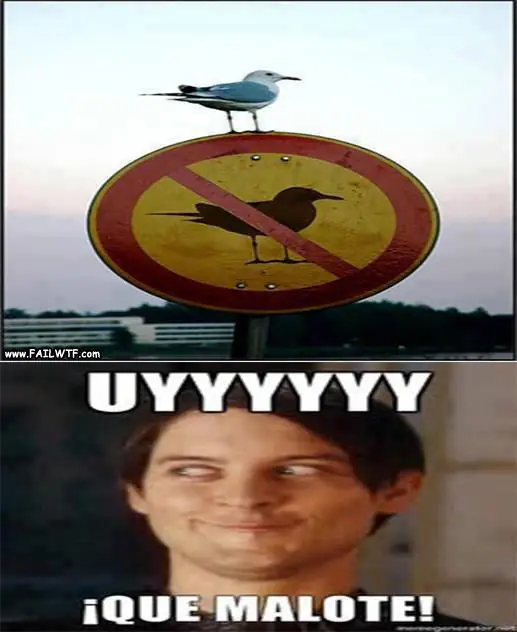 imagenes memes y gifs graciosos