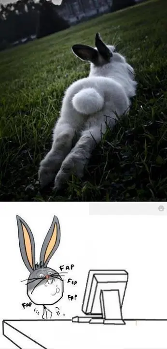 Gifs