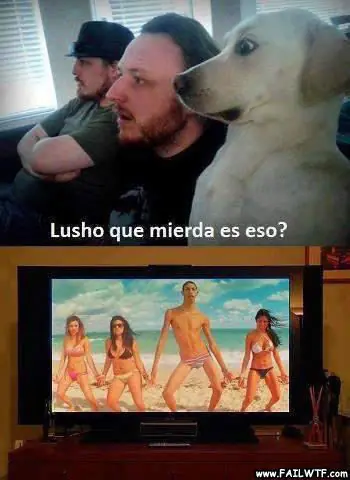 yao ming