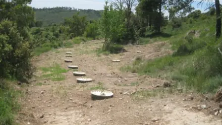 Plantar en el desierto (solucion)