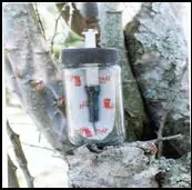 Entra!! Te enseño todo sobre minas, y como ponerla (?