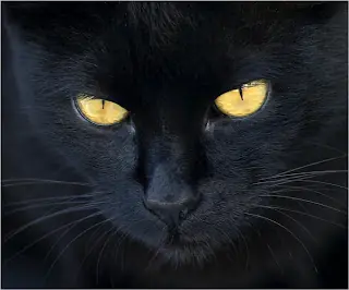 demoníaco