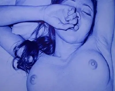 Artistas Increibles