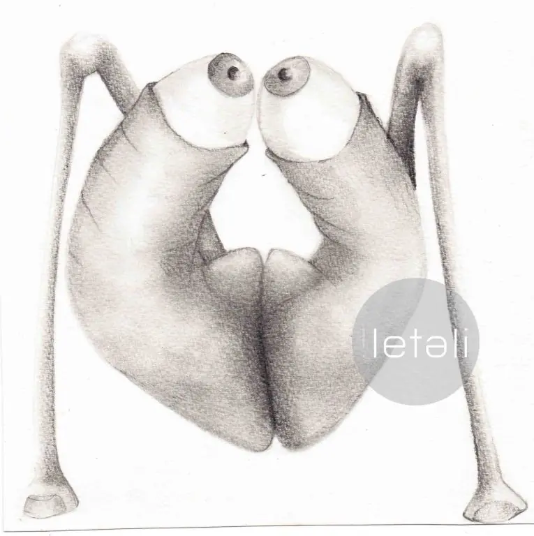 ilustracion
