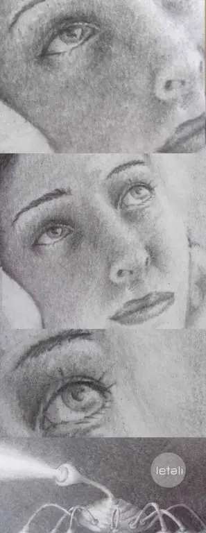 ilustracion