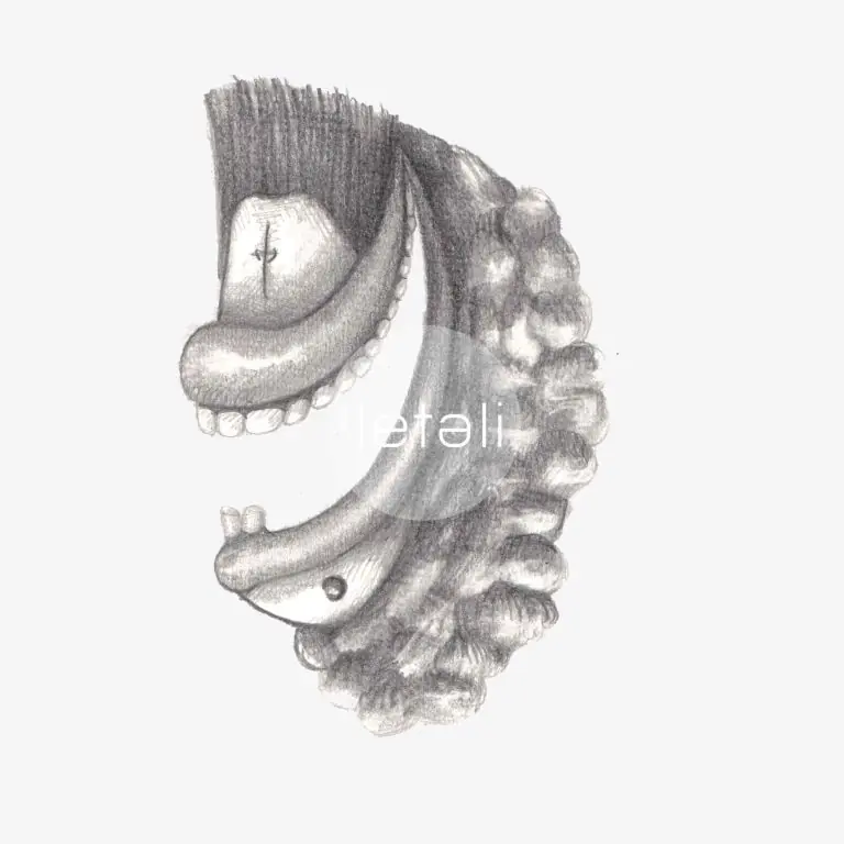 ilustracion