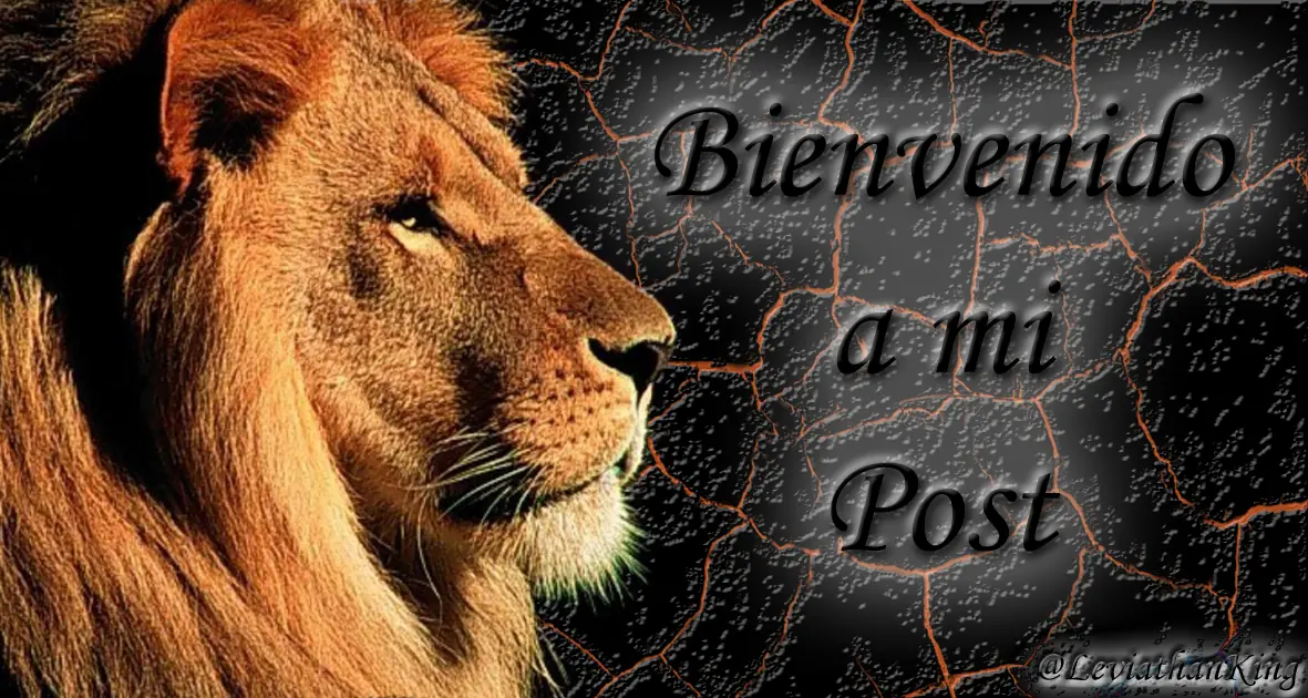 Nika Shatova - Fotografía Hipnotica