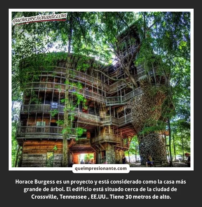 +10 Si no lo sabías [UltraPost!]