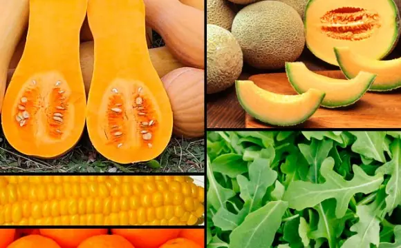 propiedades de algunas frutas y verduras de estación