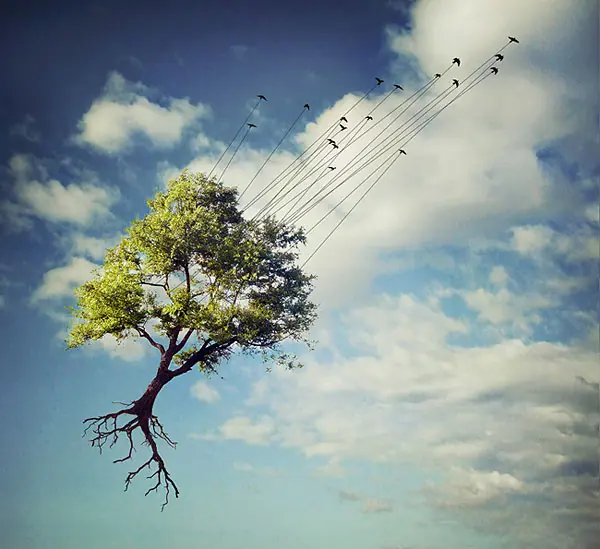 Los sueños capturados en Fotos:Arte surrealista