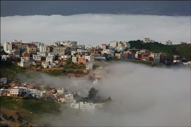 zanahoria