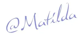 neumaticos