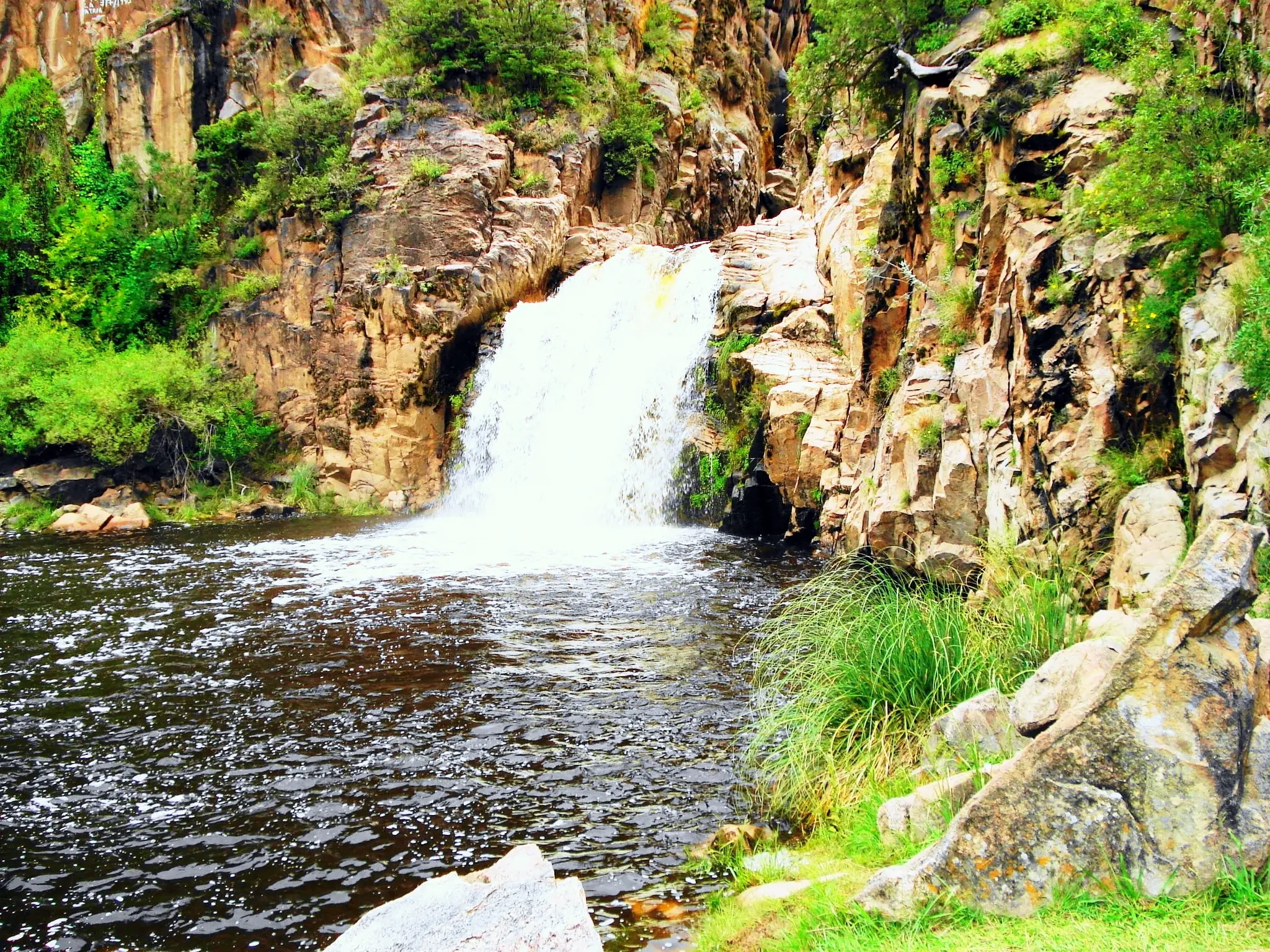 Quebrada de los cóndores, los reyes del cielo