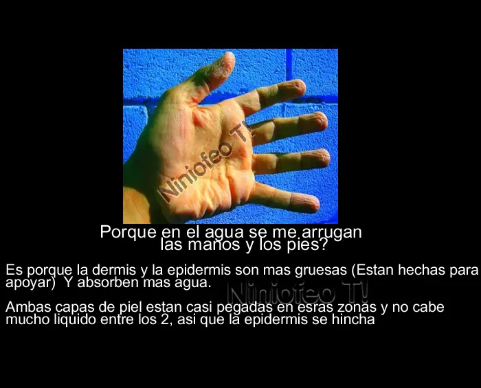 Preguntas