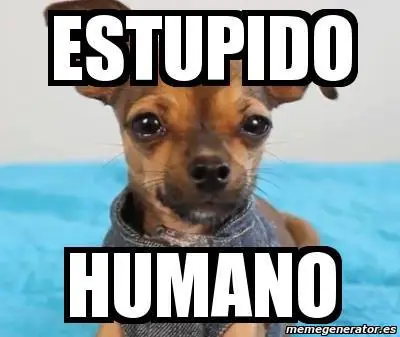 todo sobre german garmendia
