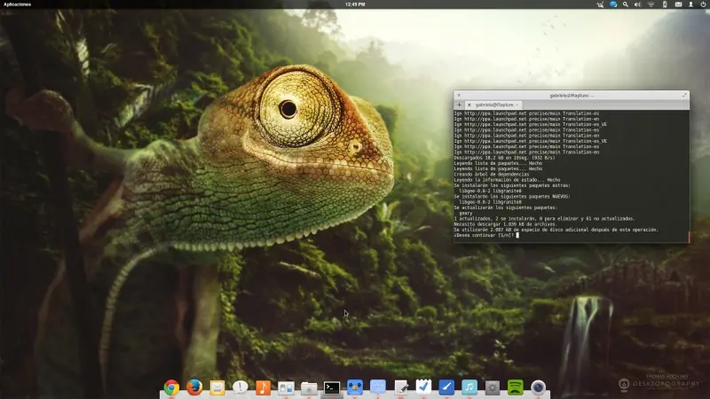 elementaryos