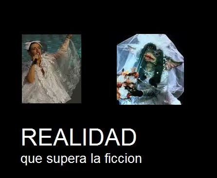 carteles de realidadquesuperalaficcion (de mi pagina de face