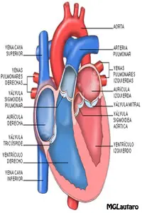 sistema