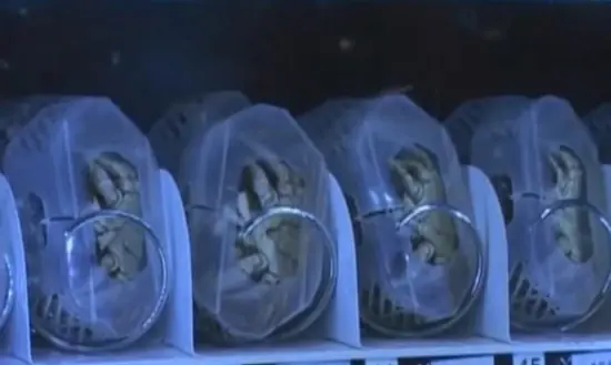 Máquina dispensadora de cangrejos (en China)