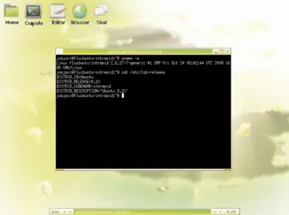 Fluxbuntu
