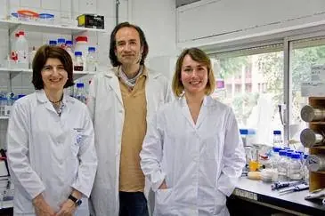Patentan bacterias capaces de producir biodiésel