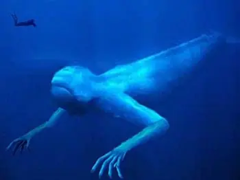 el misterio de las profundidades -ningen