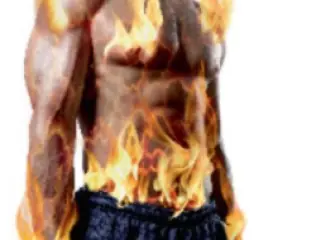 Principios básicos para definir músculo