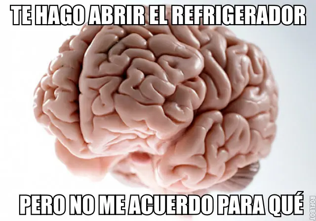 curiosidades