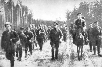 fascismo