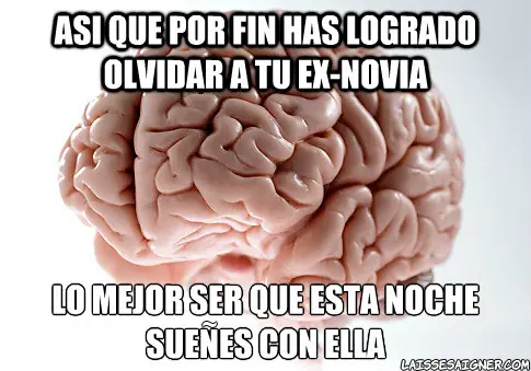 curiosidades