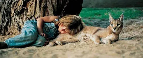 tippi degre, la hija de la selva