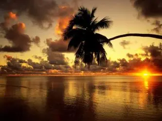 [HD]Fondos de Pantalla de todo tipo[HD]