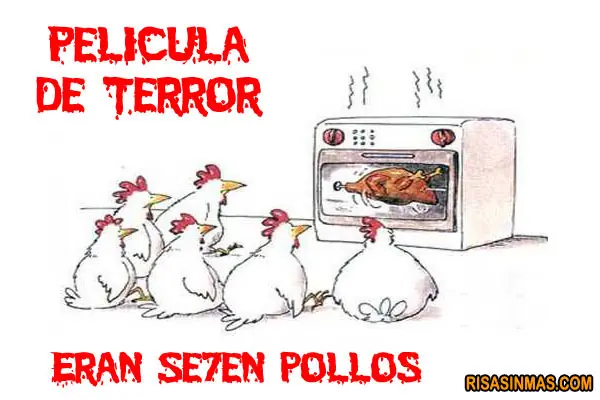 Pollos chistosos