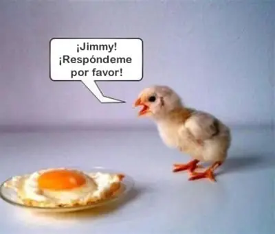 Pollos