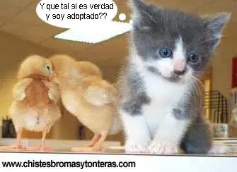 imagenes