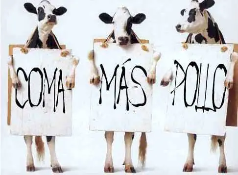 imagenes
