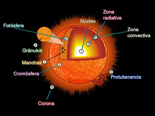 Luz