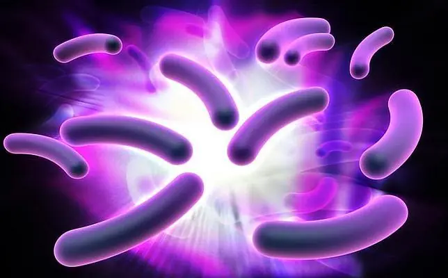Descubren una bacteria que come electricidad