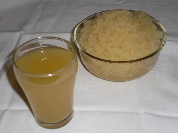 Mejora tu salud Enserio Ayuda al cancer y previenelo y masss