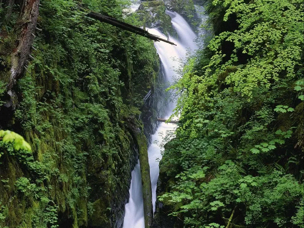 HD