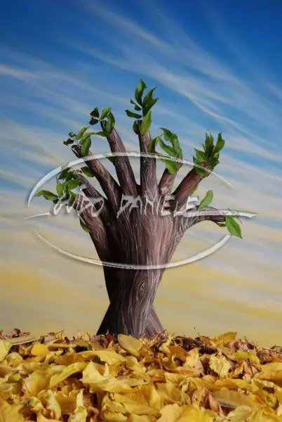 Arte de Mano [parte 1]