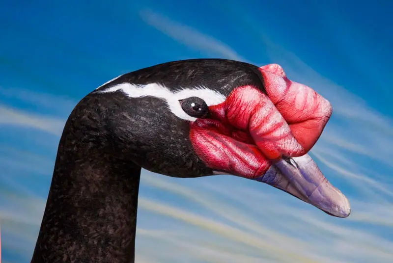 Arte de Mano [parte 1]