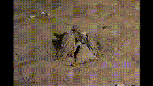 Gifs