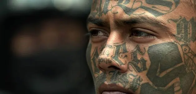 Gobierno