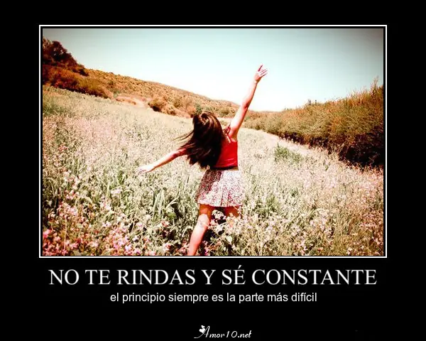 Animo